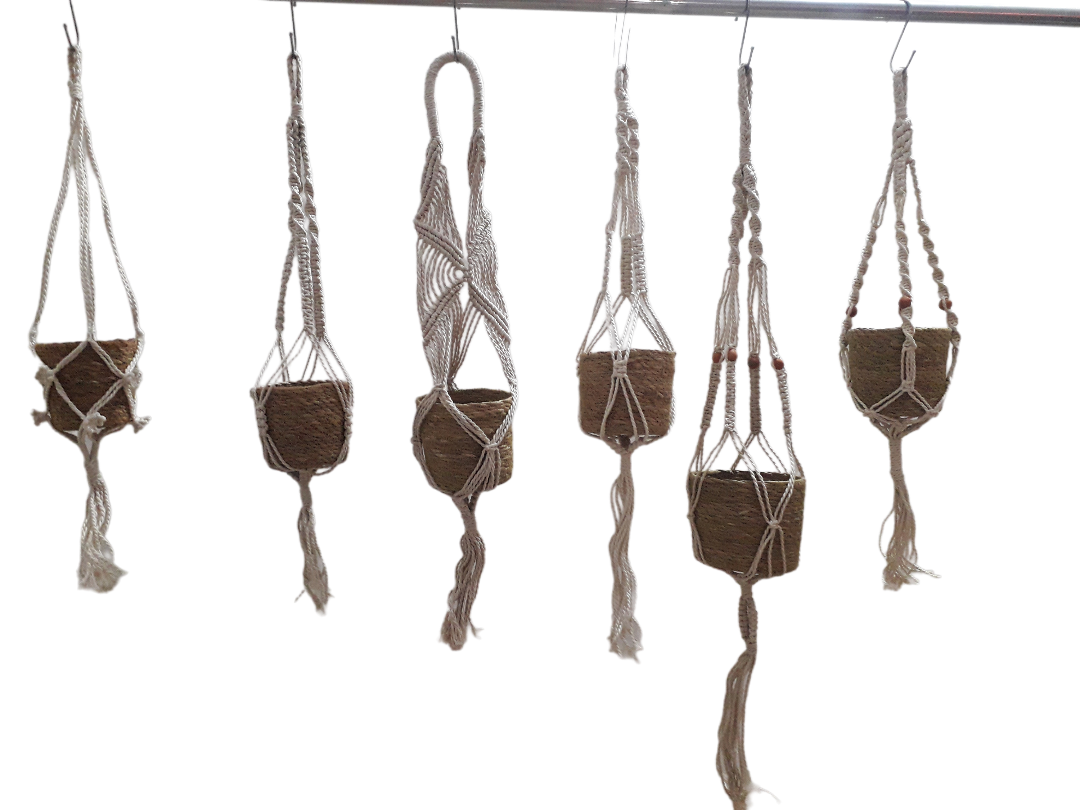 Hanging Plant with Pot